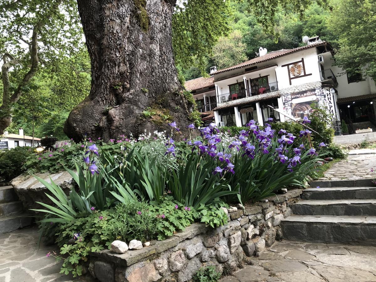 Chavkova House Μελένικο Εξωτερικό φωτογραφία